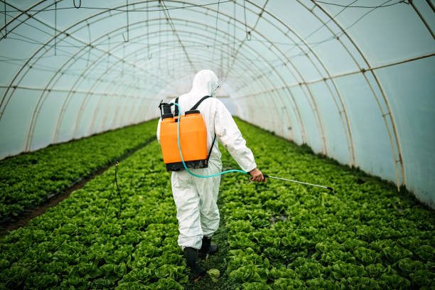 Best Affordable Pest Control Services  in San Buenaventura, CA