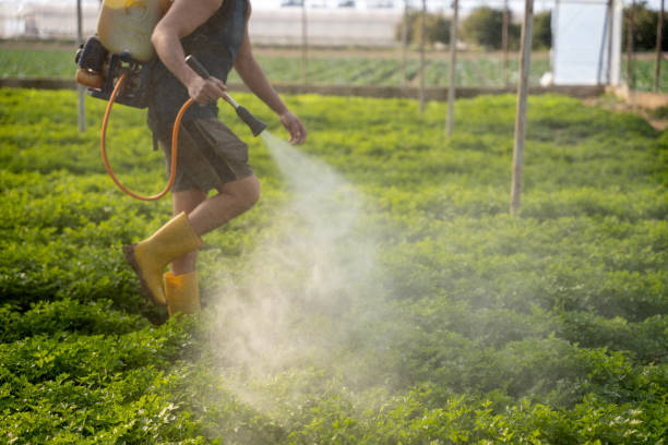 Best Best Pest Control Companies  in San Buenaventura, CA