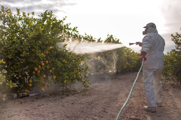 Best Best Pest Control Near Me  in San Buenaventura, CA