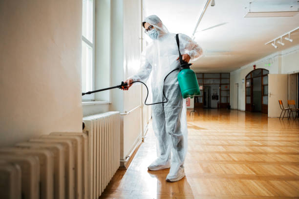 Best Pest Removal Services  in San Buenaventura, CA