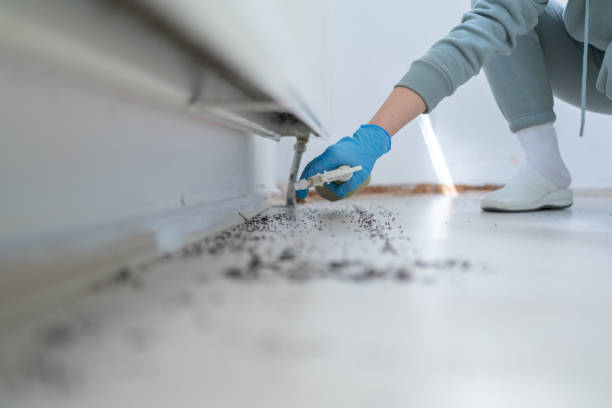 Best Pest Prevention Services  in San Buenaventura, CA